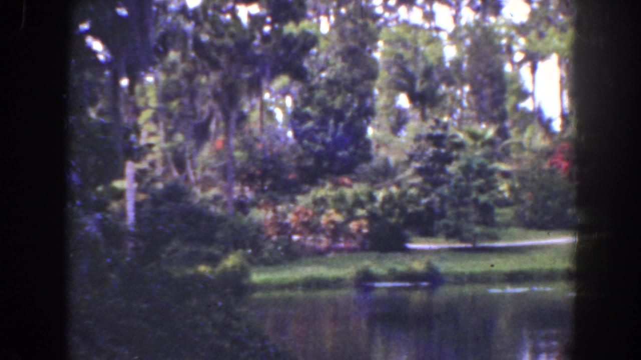 Lush garden planting beside a pond with palms and shrubs.