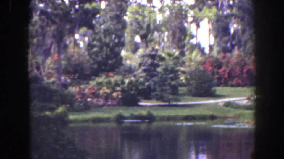 Florida 1941 home-movie frame of a pond with reflective water, dense tropical planting, lawn, and a pale path along the bank.