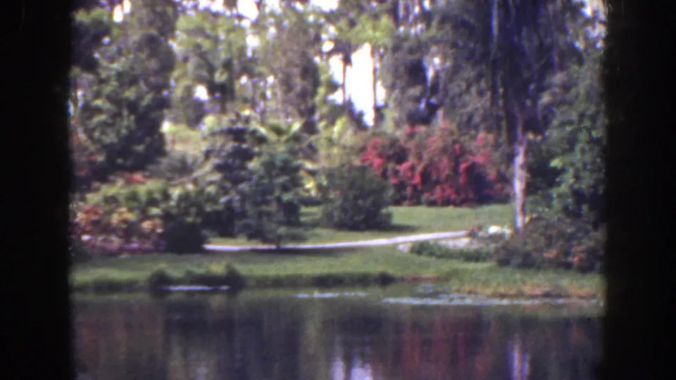 Florida 1941 park landscape with calm pond water, palms, flowering shrubs, grass, and a winding path in soft 8mm color.
