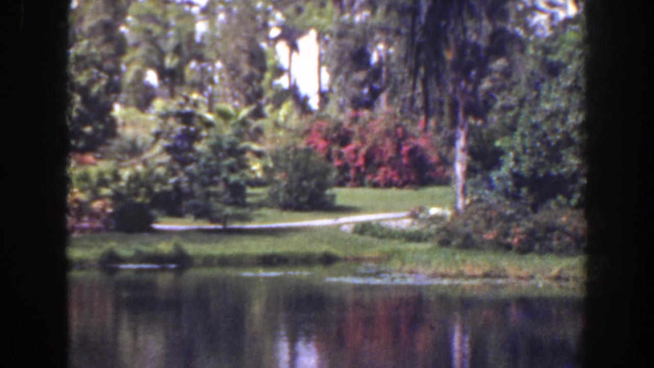 Garden pond bordered by lawn, trees, palms, red flowering shrubs, and a curving path.