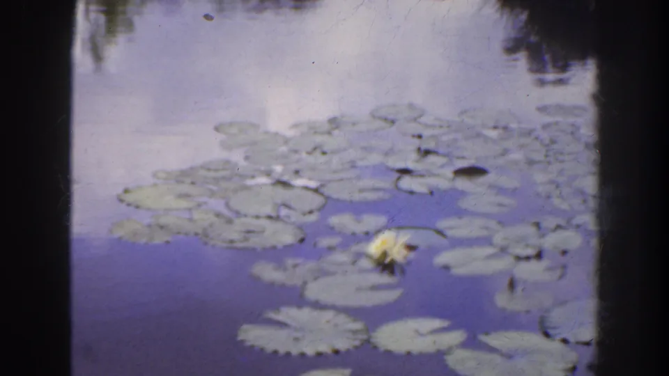 1941 Florida garden pond frame with lily pads, a pale water lily bloom, and soft blue-gray water reflections on 8mm film.