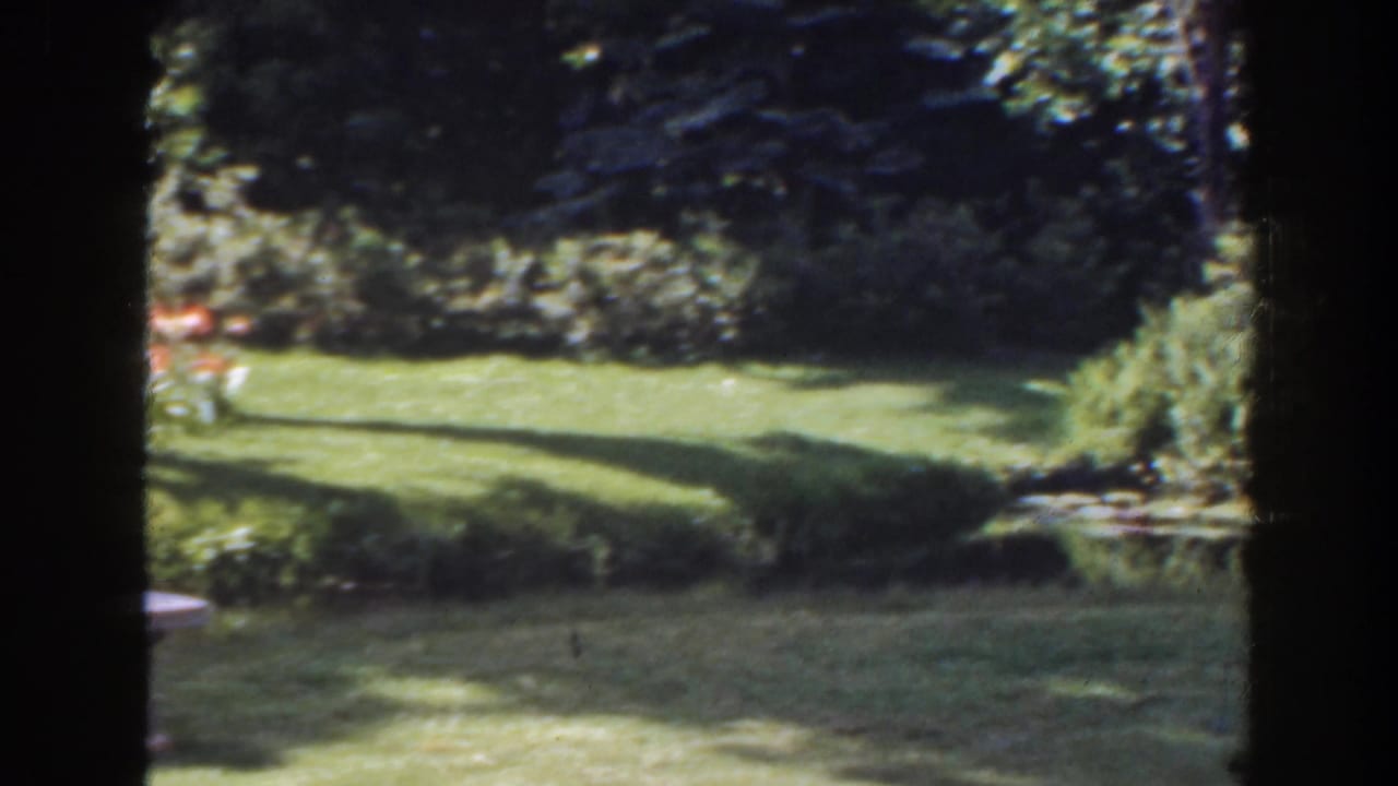 Green lawn bordered by shrubs, trees, and a small bench in bright sunlight.