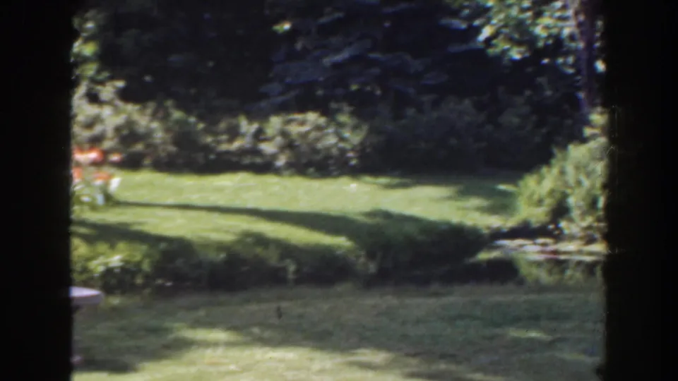 1941 Florida garden view with clipped lawn, surrounding shrubs, deep tree shade, and a small bench near the right edge.