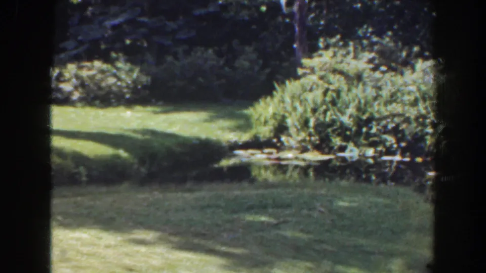 1941 Florida home-garden frame showing a sunlit lawn, dense shrubs, low pond edge, and dark shaded film border.