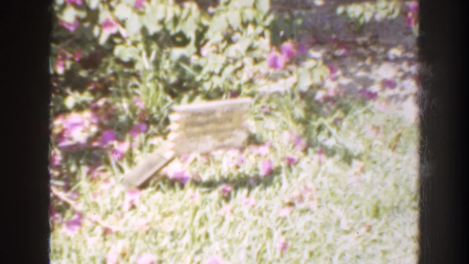 1941 Florida 8mm frame showing bright flowering landscaping and grass near a brick building, with dark film-frame borders.