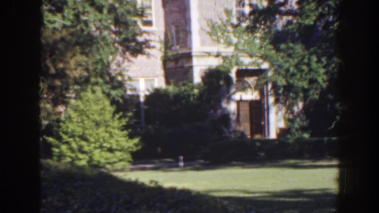 Building entrance and windows partly hidden by trees, with lawn in the foreground.