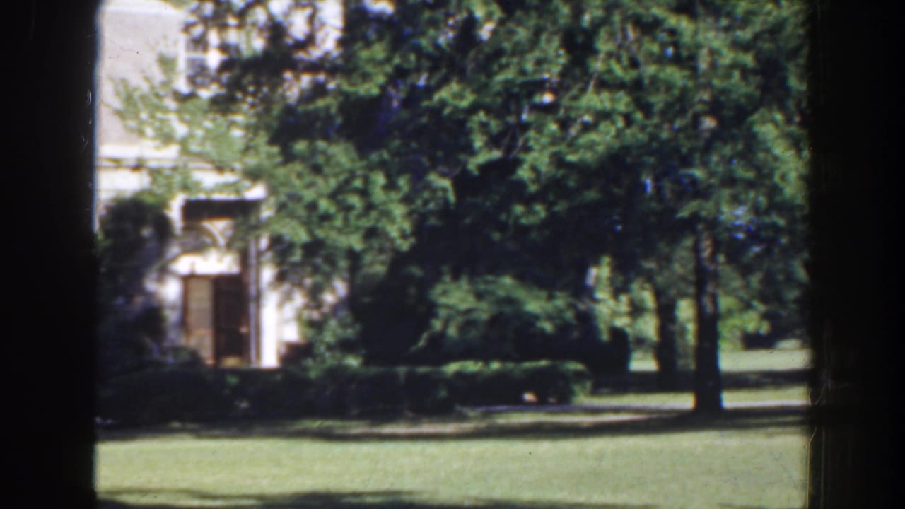 Building entrance area glimpsed through trees, with lawn, hedges, and heavy frame borders.