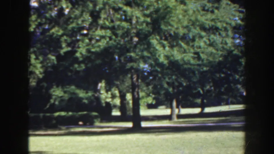 1941 Florida 8mm frame showing landscaped grounds with mature trees, trimmed hedges, grass, and a path or drive in bright daylight.