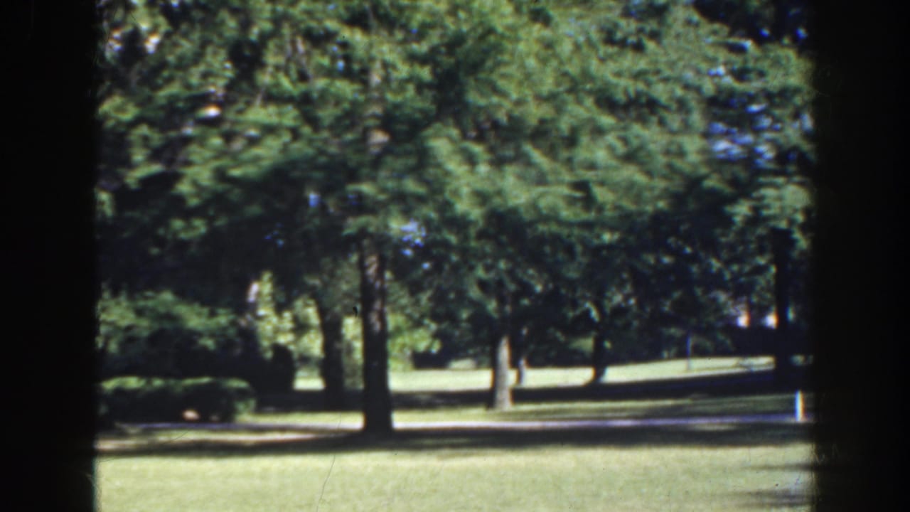 Sunlit grass and tall trees in a quiet park, with dark film edges visible.