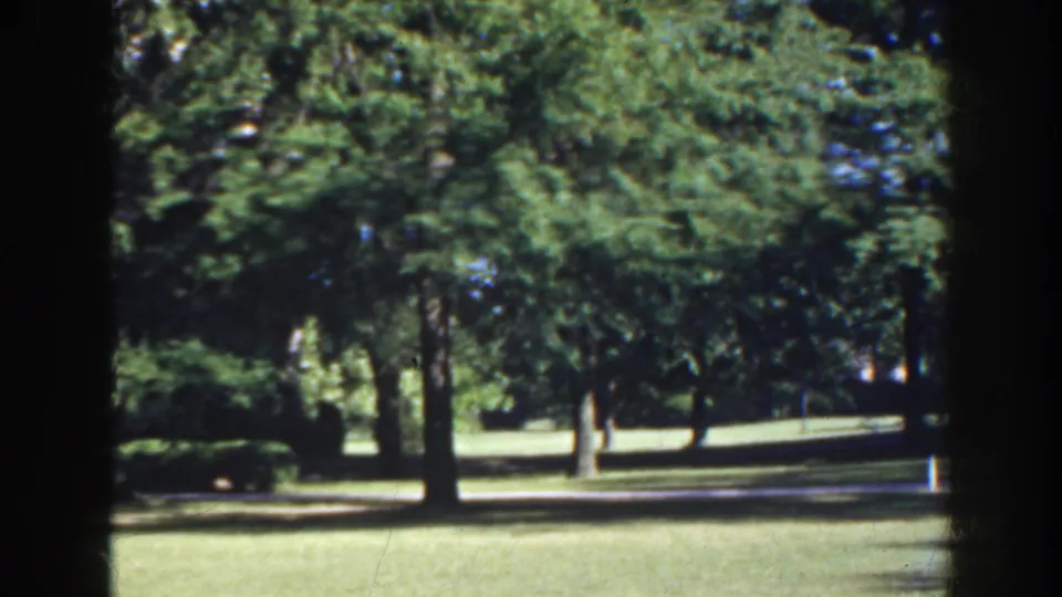 1941 Florida 8mm home-movie frame showing a sunlit park lawn with tall trees, deep shade, and a pale path in the background.