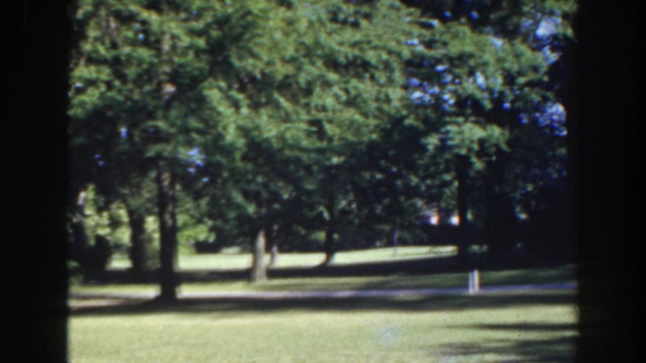 1941 Florida park view with mature trees, green lawn, a shaded path, and small white posts seen through soft 8mm color.