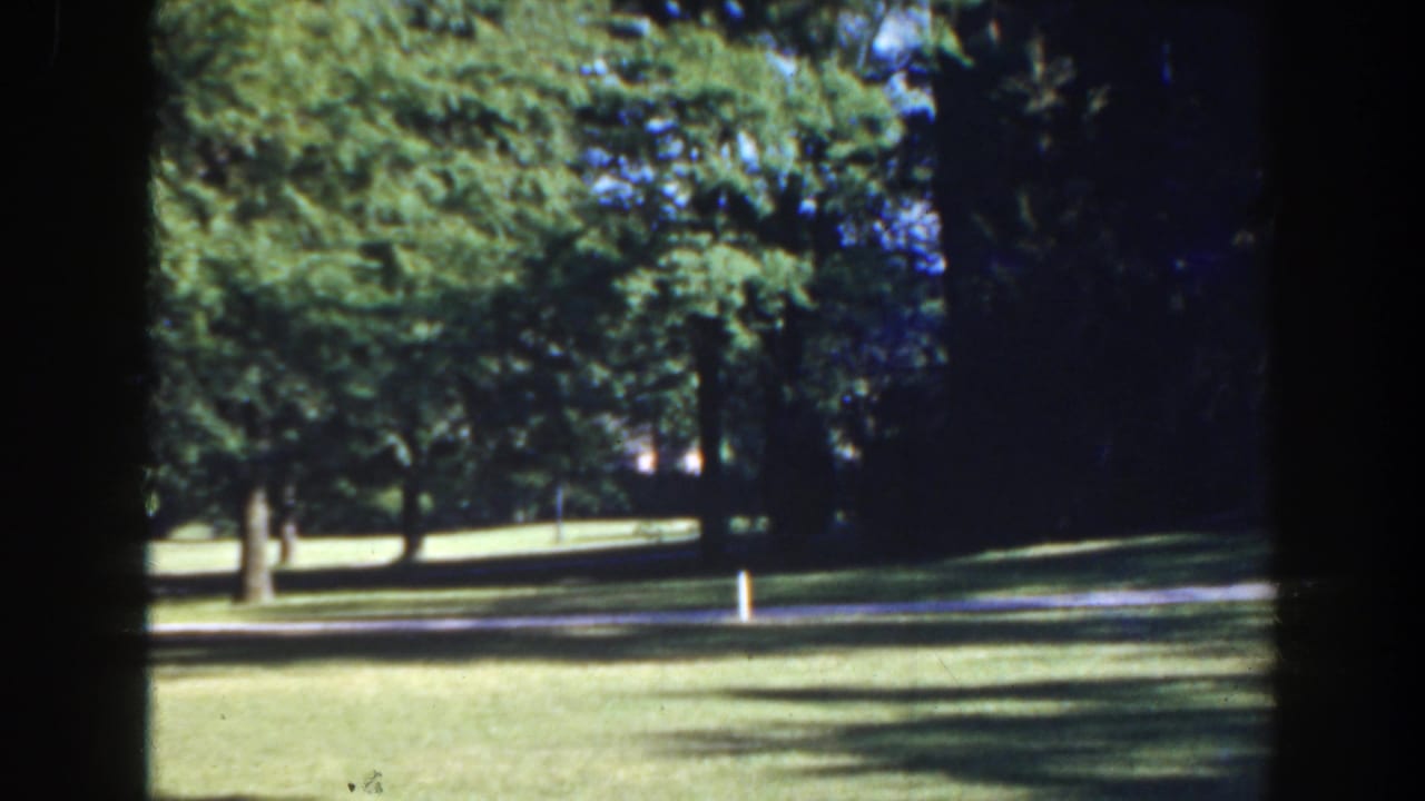 1941 Florida home-movie frame showing a sunlit park lawn, mature trees, a pale path, and a small white marker post.