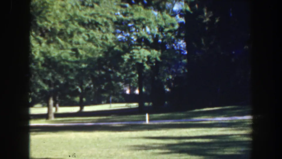 1941 Florida home-movie frame showing a sunlit park lawn, mature trees, a pale path, and a small white marker post.