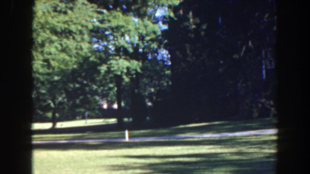 Tree-lined park view with grass, path, and dark shade at the right edge.