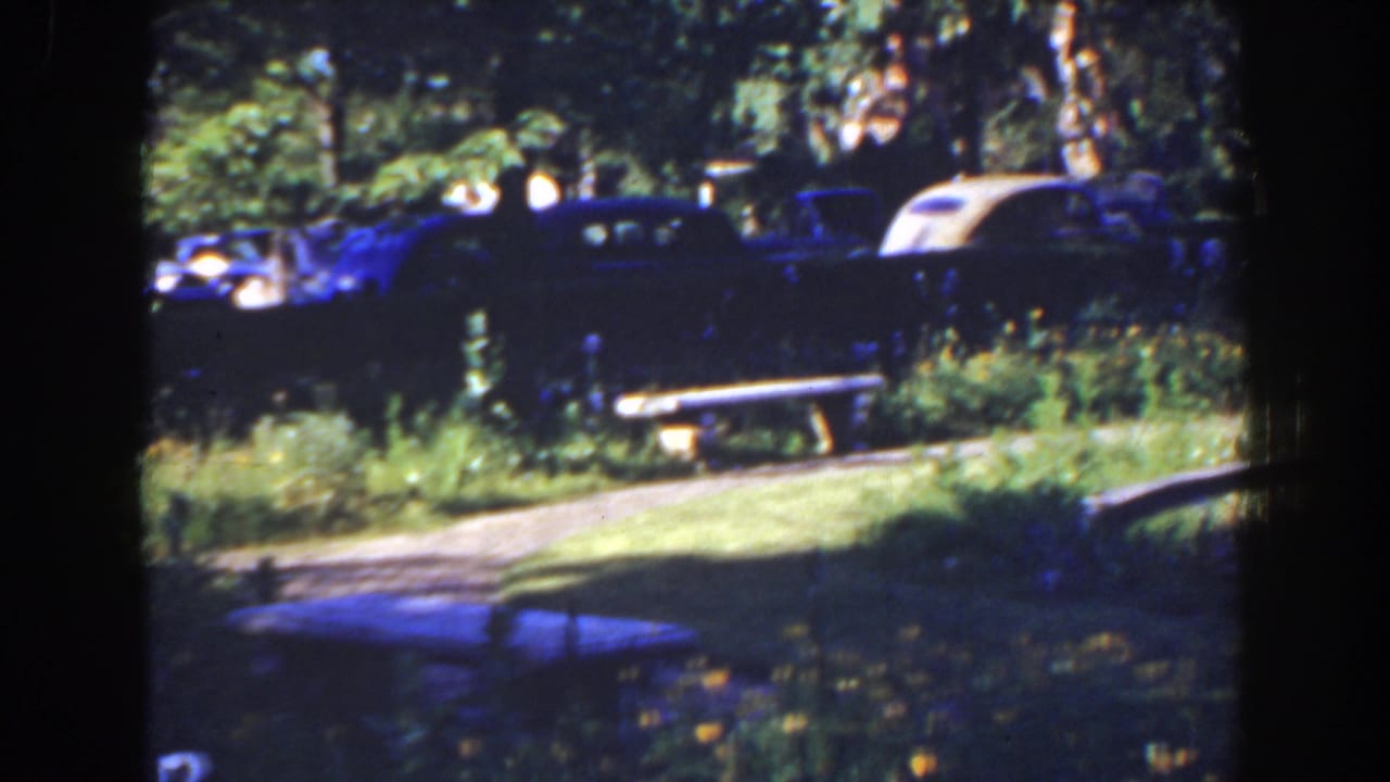 Two parked cars partly visible beyond a sunlit path and grass.