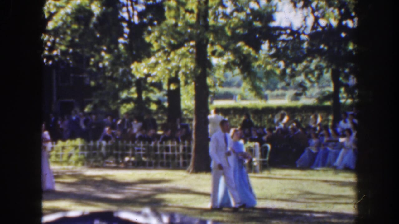 Formally dressed pair stands on a lawn near seated guests and trees.