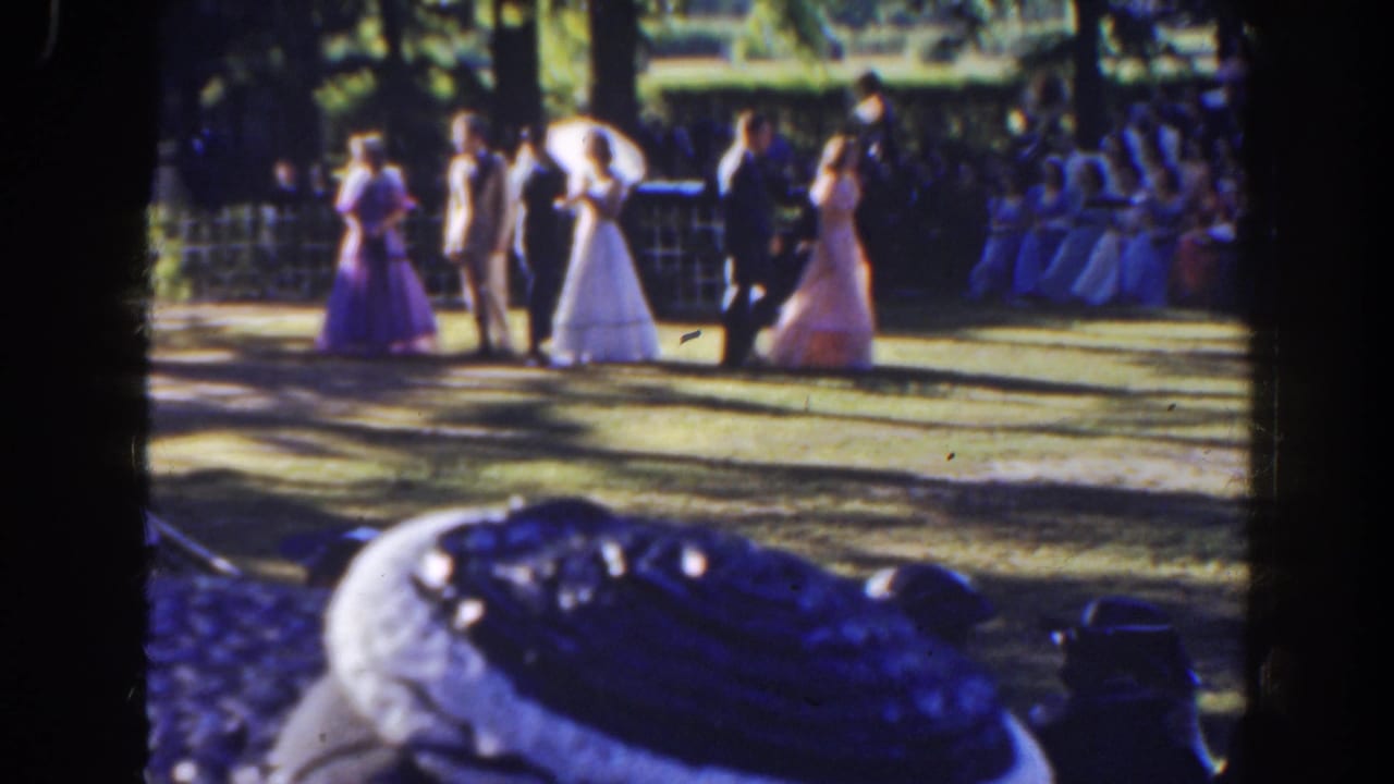 Wedding party and guests standing on a shaded lawn with formal dresses and suits.