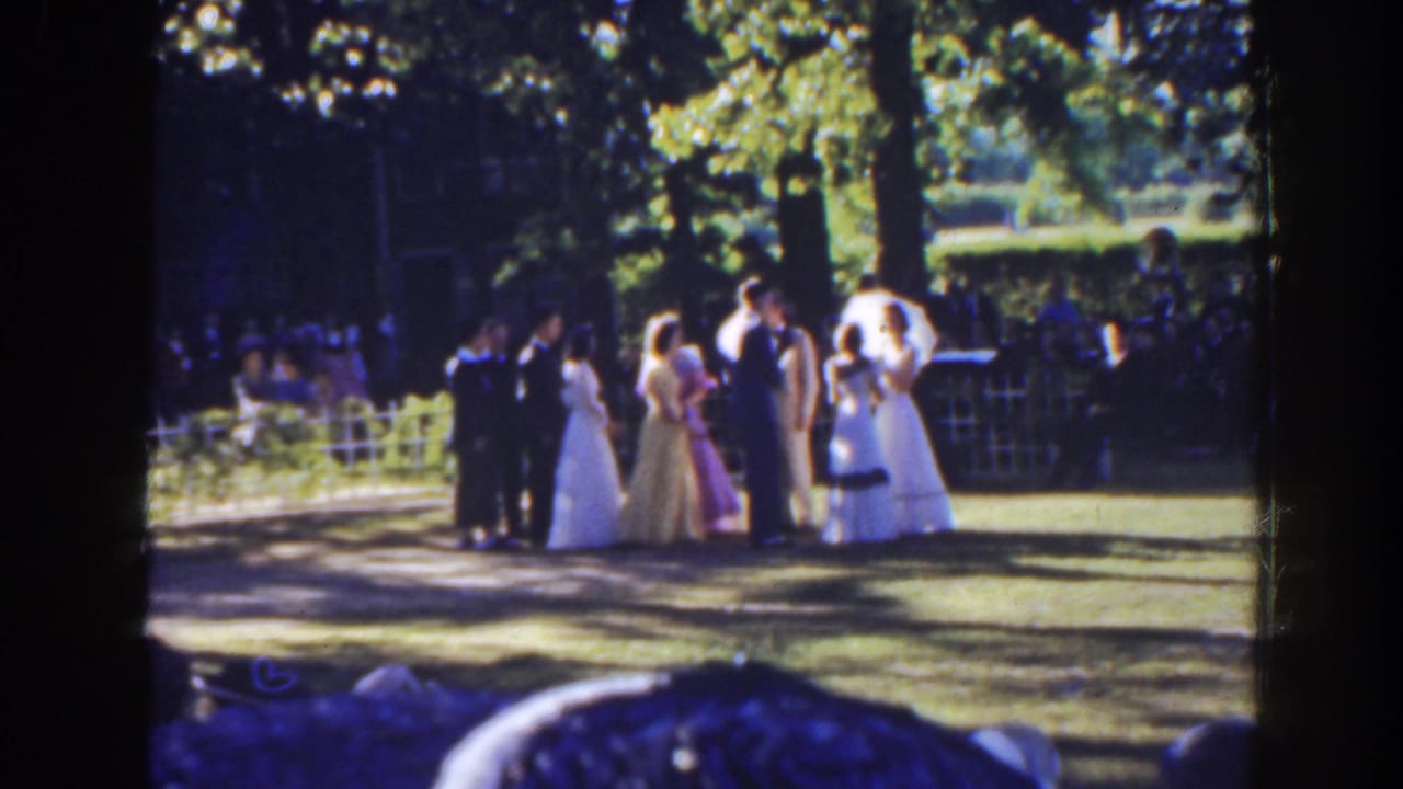 A small group in formal wear stands on grass near parasols and trees.