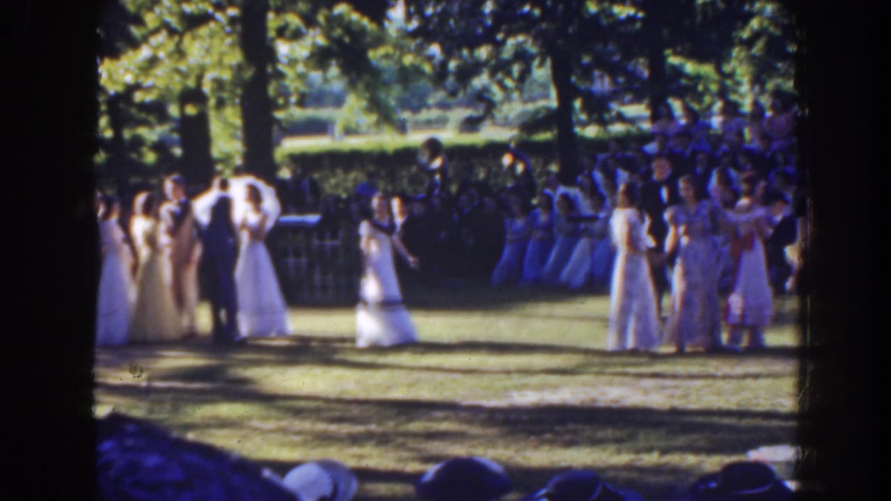 Outdoor wedding party and guests gathered on a sunlit lawn beneath trees.