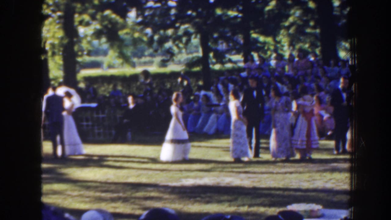 Bride and groom stand on a lawn with attendants and seated guests nearby.