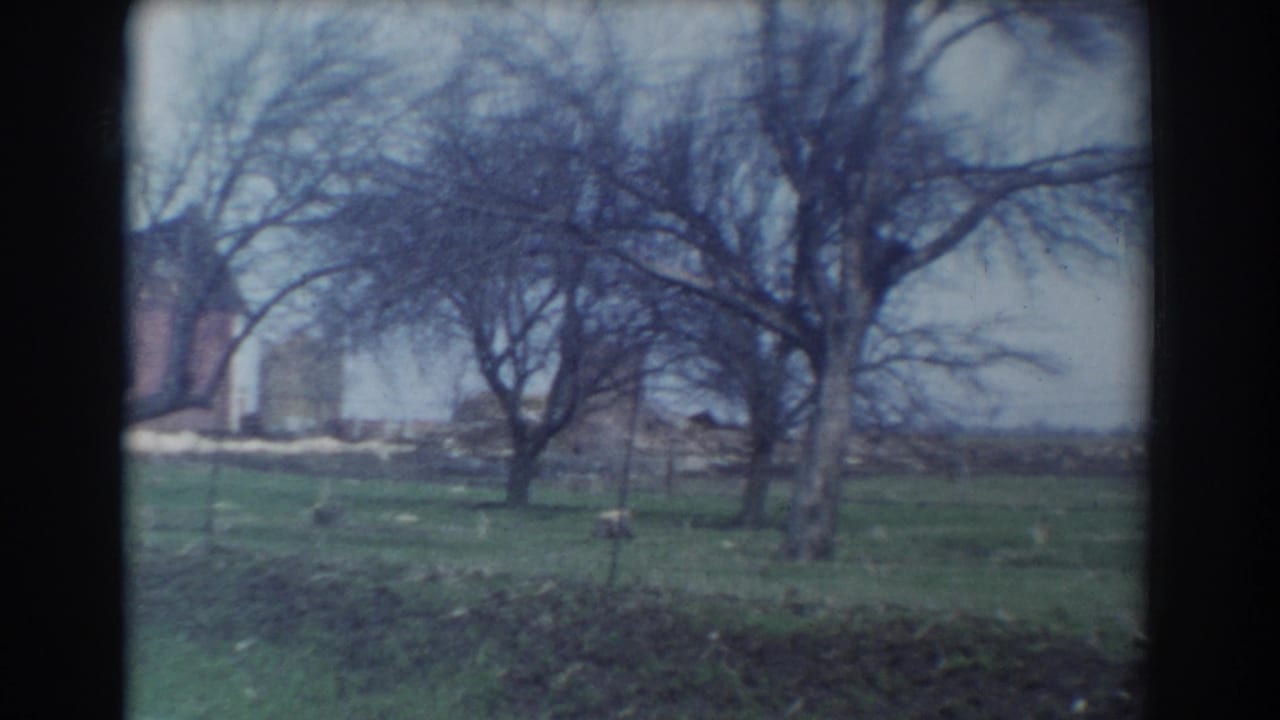 Bare trees and open grass with part of a brick building at the left edge.