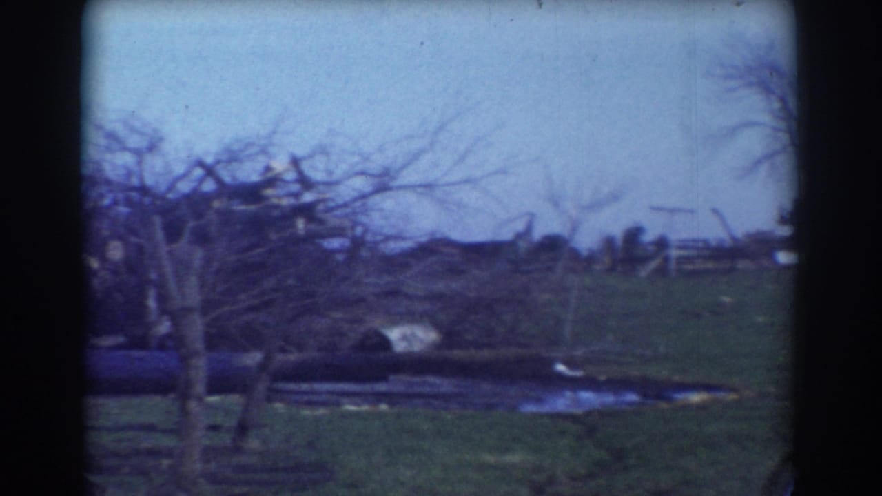 Broken tree limbs and debris scattered across a grassy rural area.
