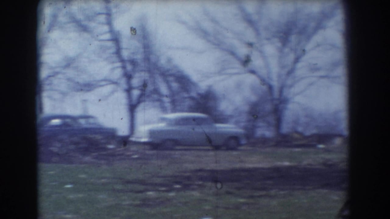 Parked mid-century car near bare trees and open grass.