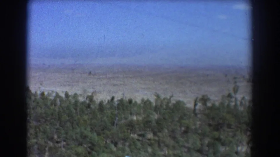 Aerial passenger view over dry rural land near Brisbane, with a dense tree line in the foreground and open plains beyond.