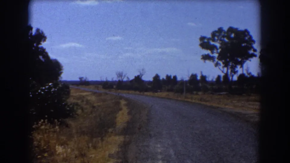 1967 Brisbane home-movie view of a curving road, dry verge, low scrub, and a tall tree in bright daylight.