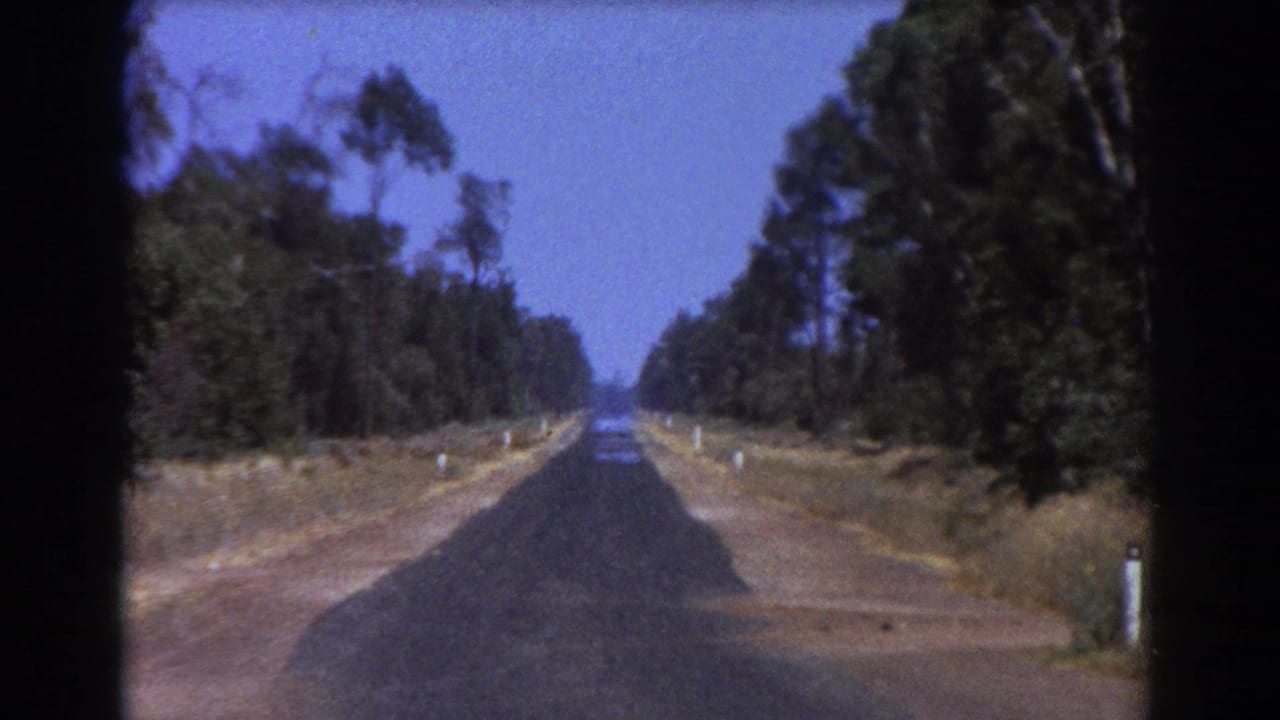 Straight country road bordered by trees and dry shoulders.