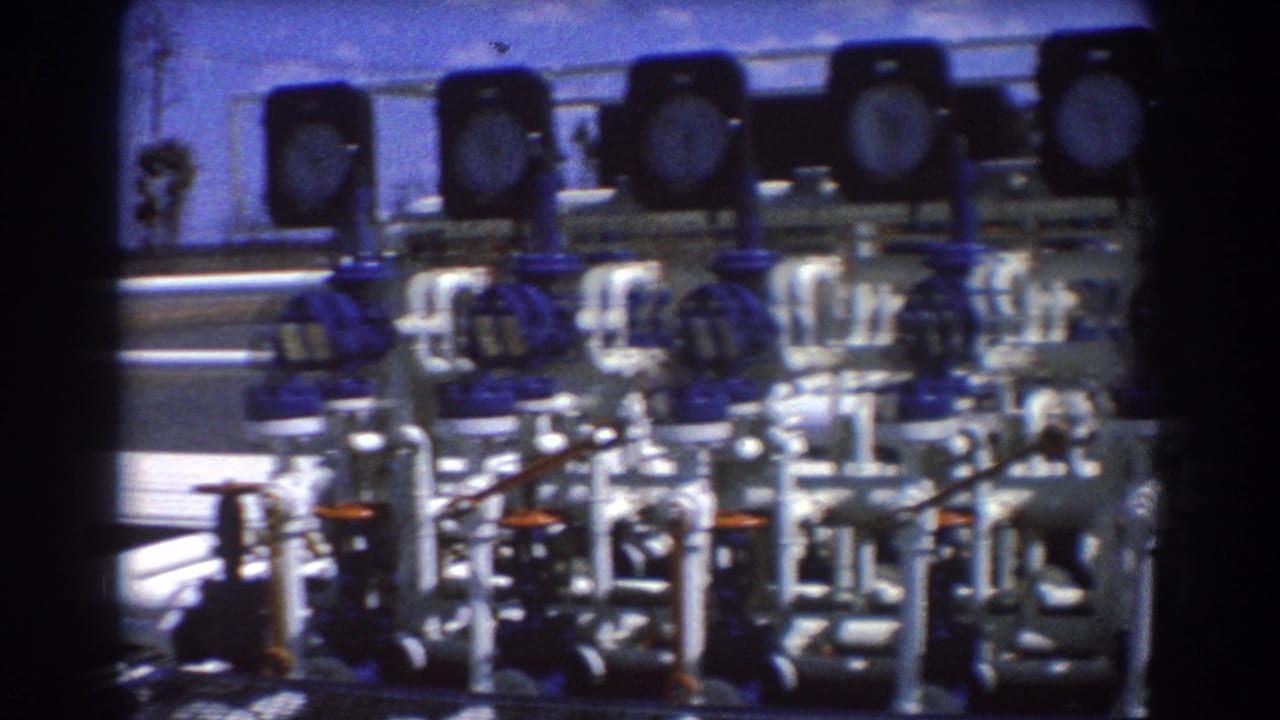 Dense row of white pipes, blue valves, and round gauges under a bright sky.