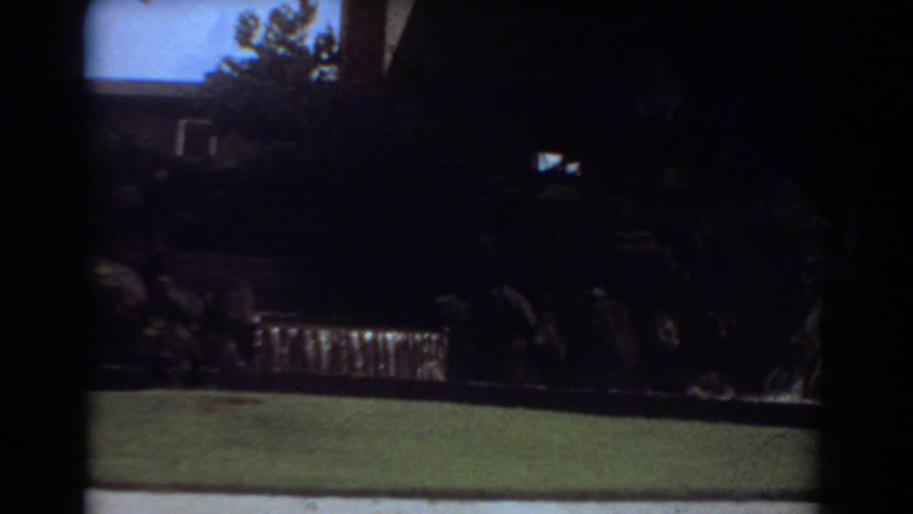 Dark park lawn with low edging, trees, and dim background lights at night.