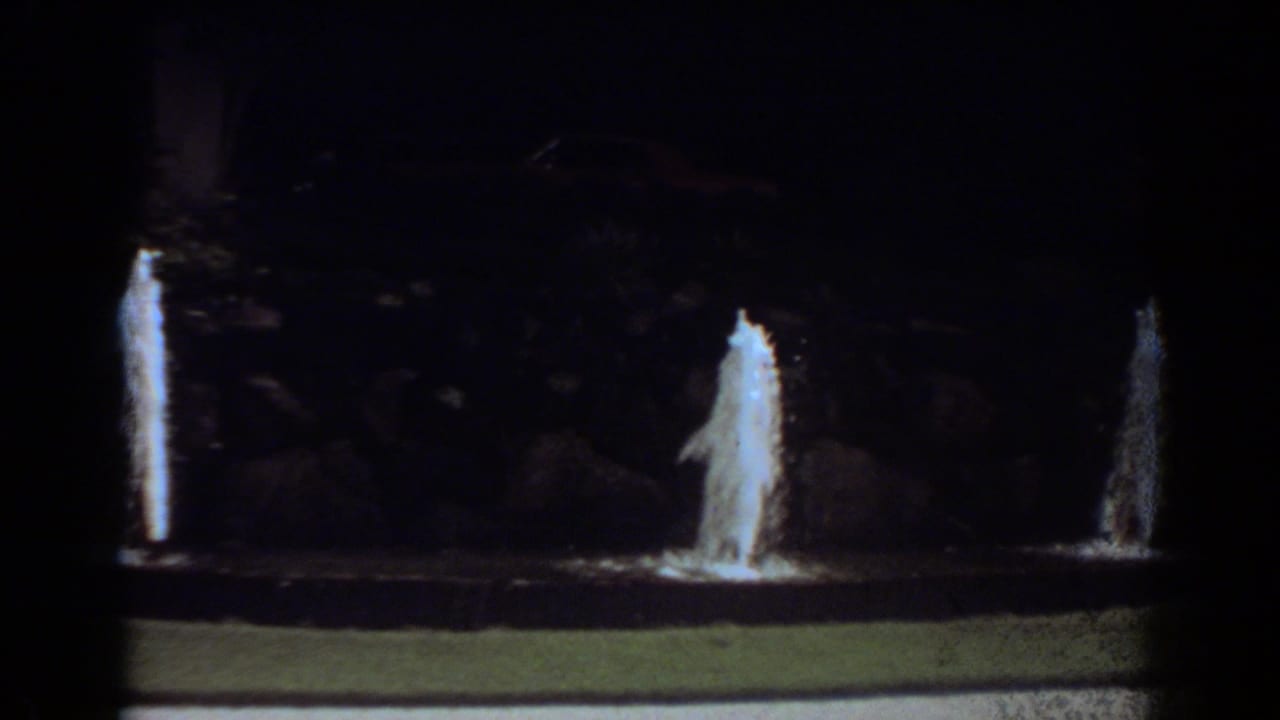 Two bright fountain jets rise from a dark basin at night with grass in the foreground.