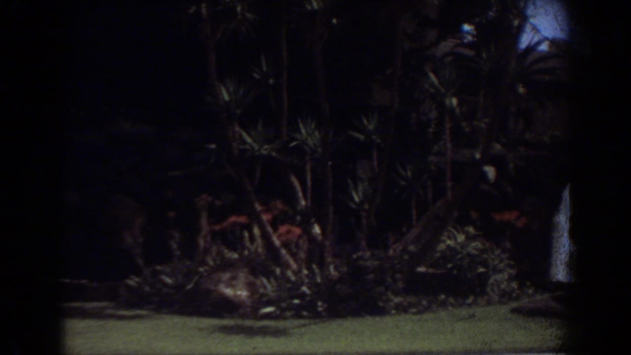 1967 Fort Lauderdale 8mm frame showing a dim tropical garden with palms, low lawn, stone landscaping, and a small fountain.