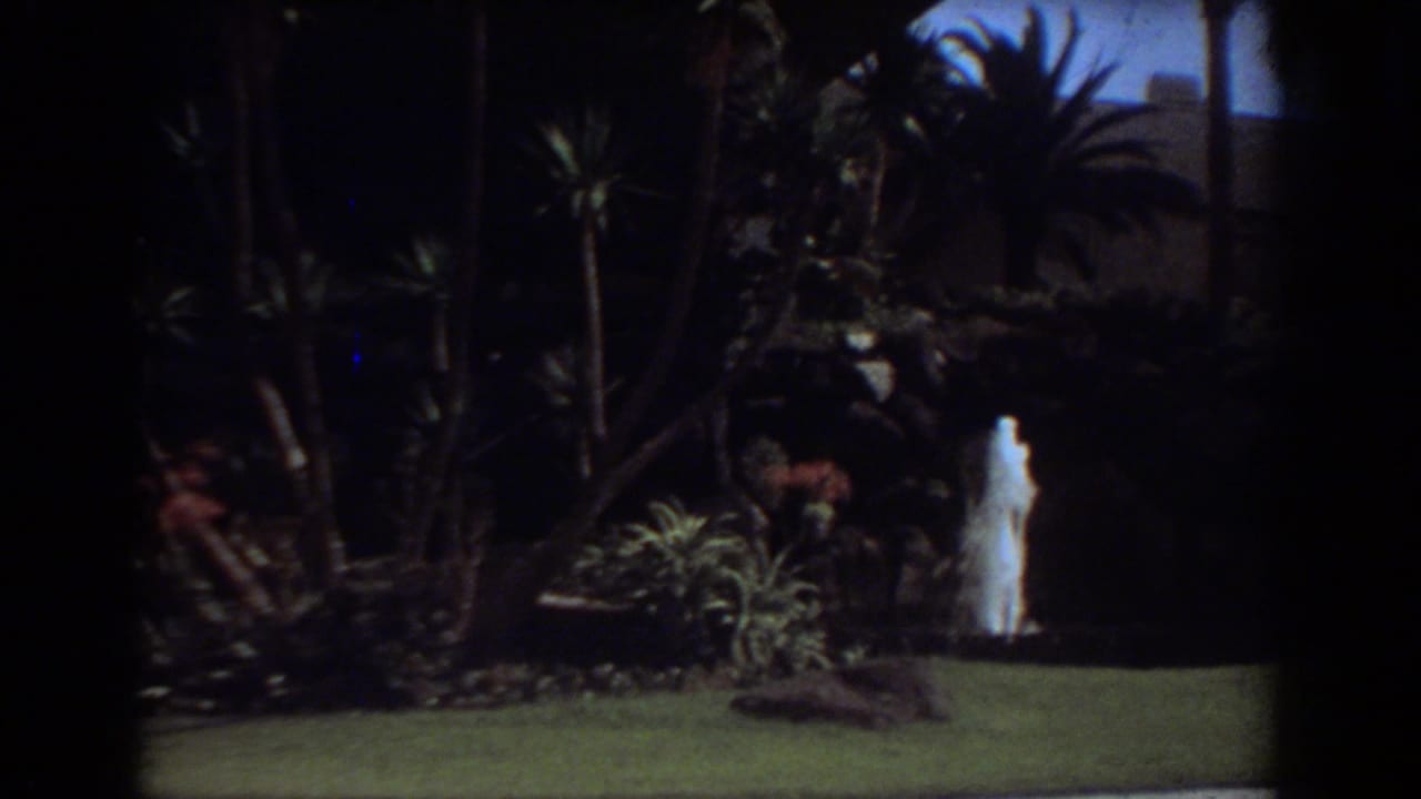 Garden lawn and tropical plants with a small fountain near the right side.