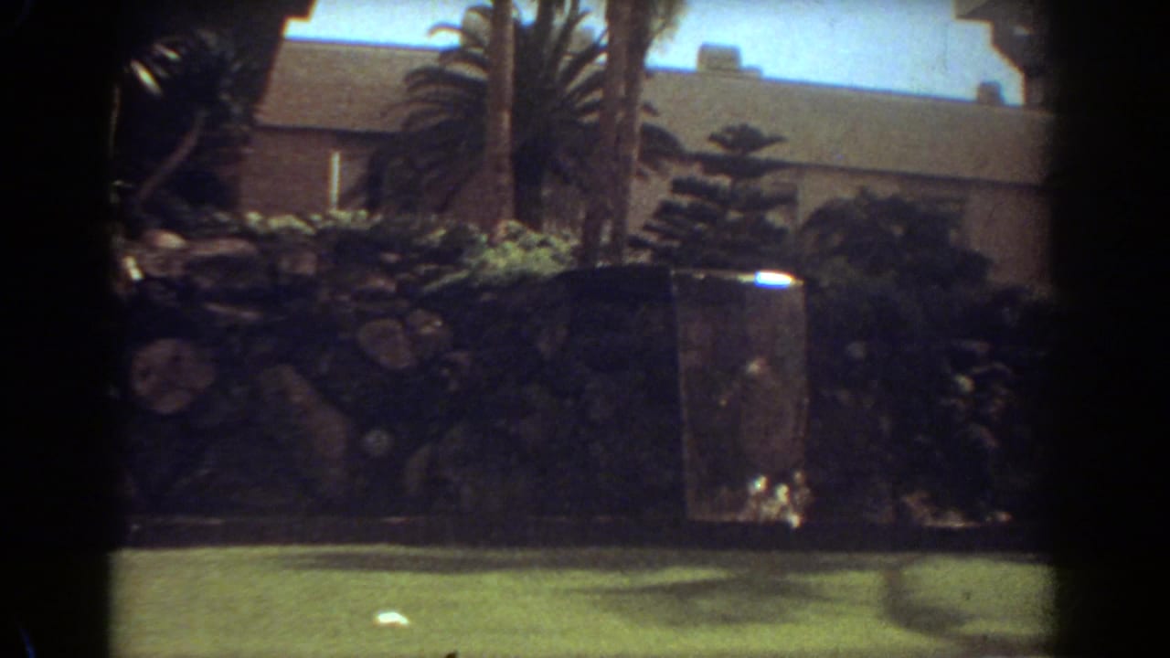1967 Fort Lauderdale frame with palms, clipped lawn, stone landscaping, shrubs, and a dark rectangular water feature.