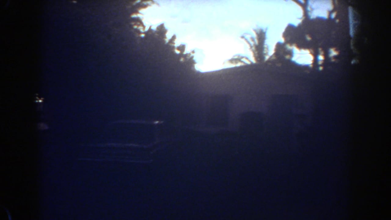Backlit 1967 Fort Lauderdale home-movie frame with palm silhouettes, yard shapes, and strong exposure falloff near the street.