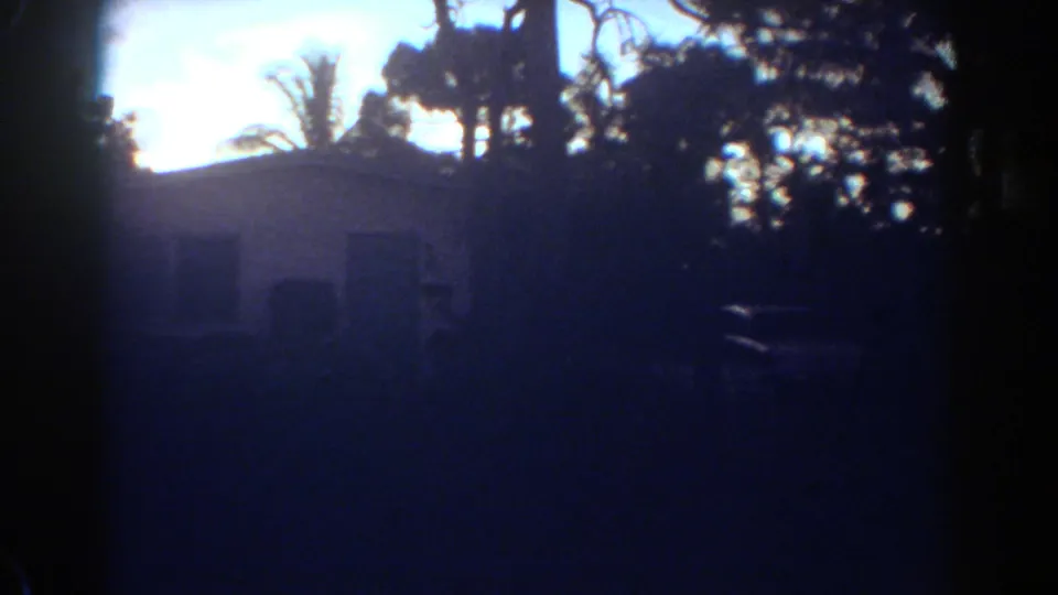Backlit residential exterior in Fort Lauderdale, with a white house, palm trees, foliage, and a parked car partly visible.