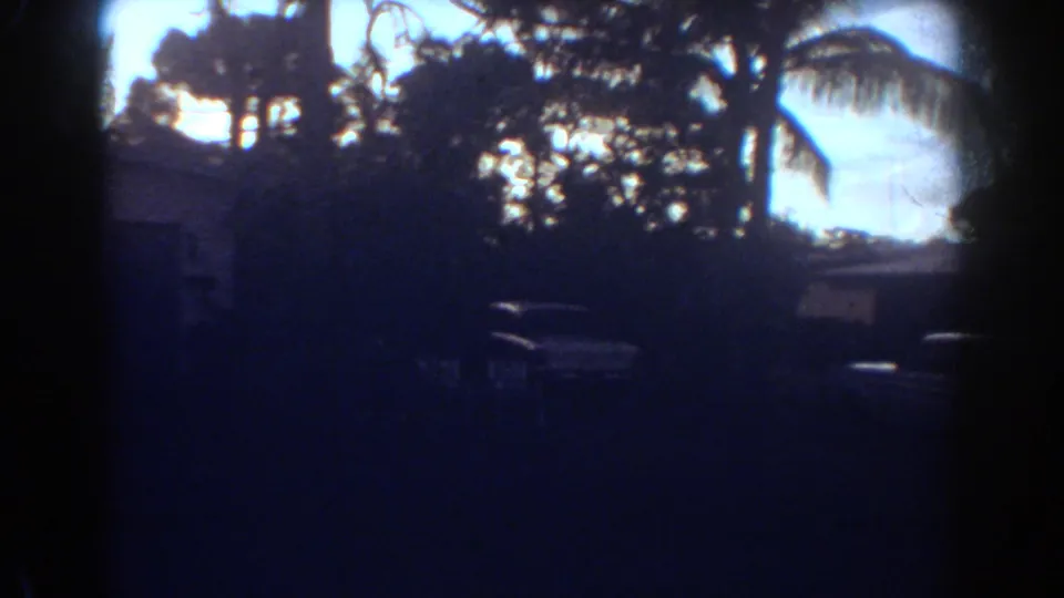 1967 Fort Lauderdale yard view with palm trees, patio chairs, a white house, and dark foreground shadows from 8mm footage.