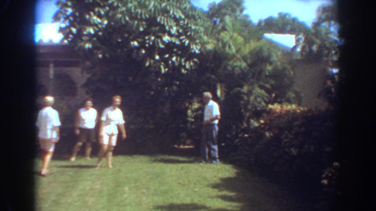 Several adults stand and walk across a sunny lawn bordered by shrubs and trees.