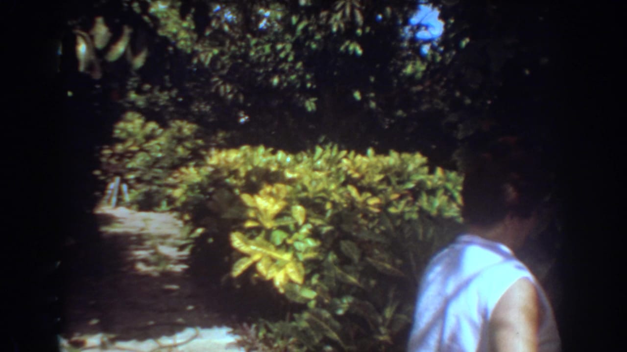 In 1967 Fort Lauderdale footage, a person passes close to the camera beside a shaded garden path and sunlit tropical hedges.