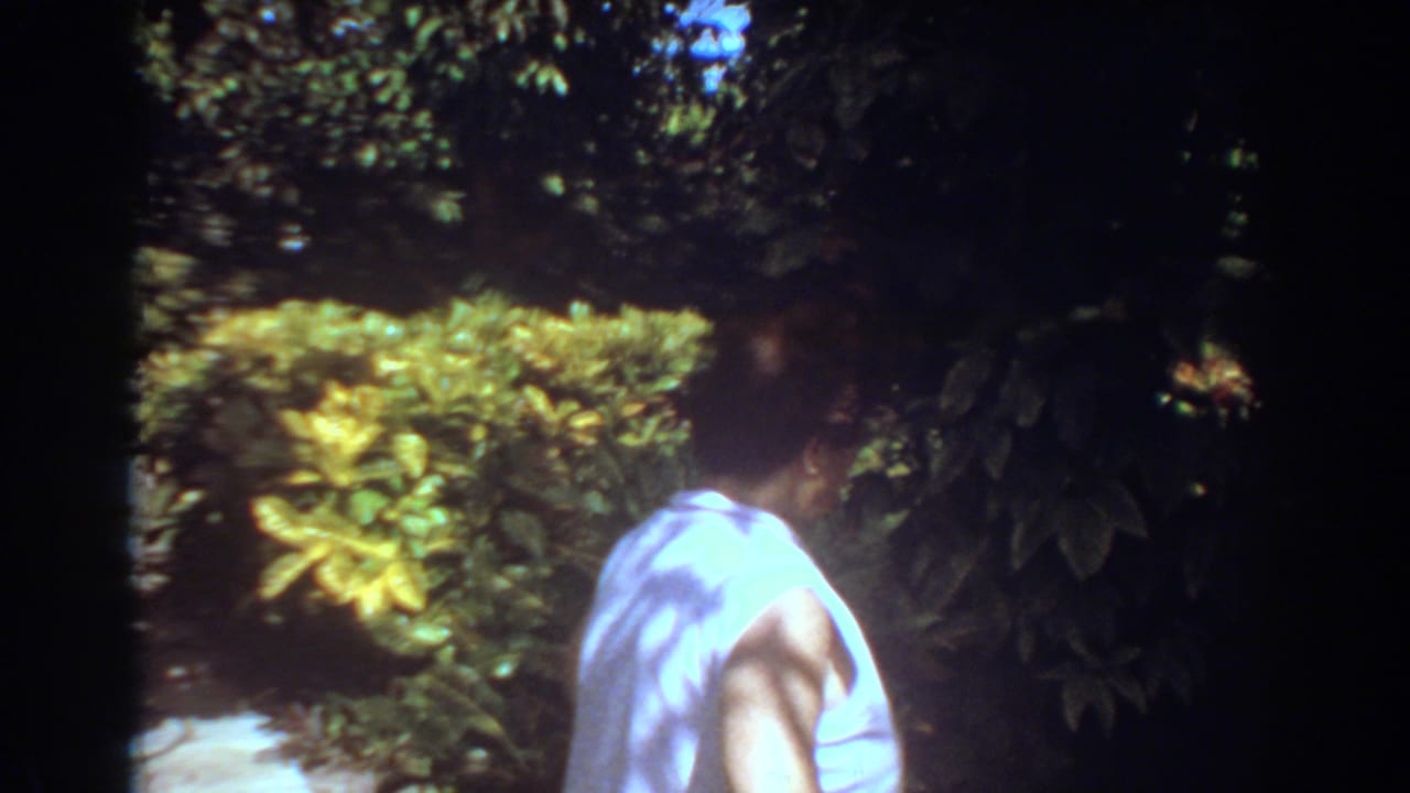 A close view shows an adult moving through a shaded Fort Lauderdale garden area, with bright tropical plants and dark leafy cover nearby.