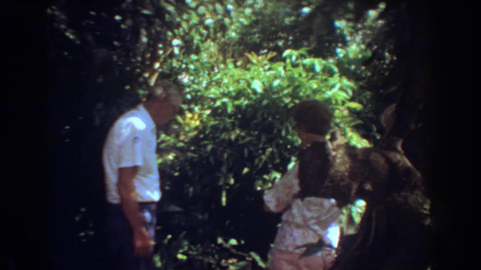 Two adults in casual clothing appear to talk or look around amid tropical foliage in Fort Lauderdale garden footage from 1967.