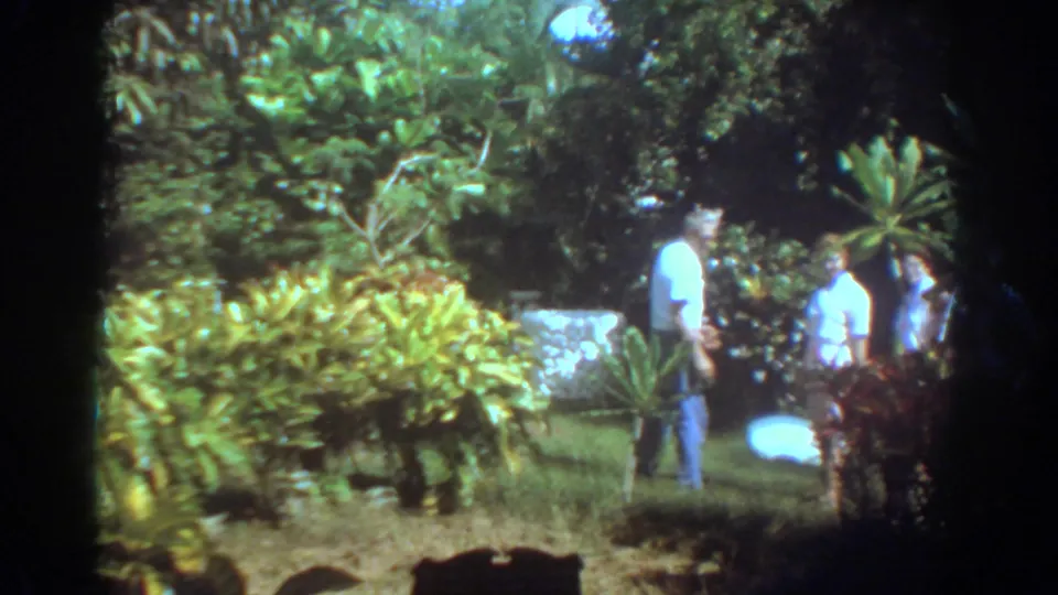 Adults in casual summer clothing move through a sunny garden area with shrubs, lawn, and tropical plantings in 1967 Fort Lauderdale footage.