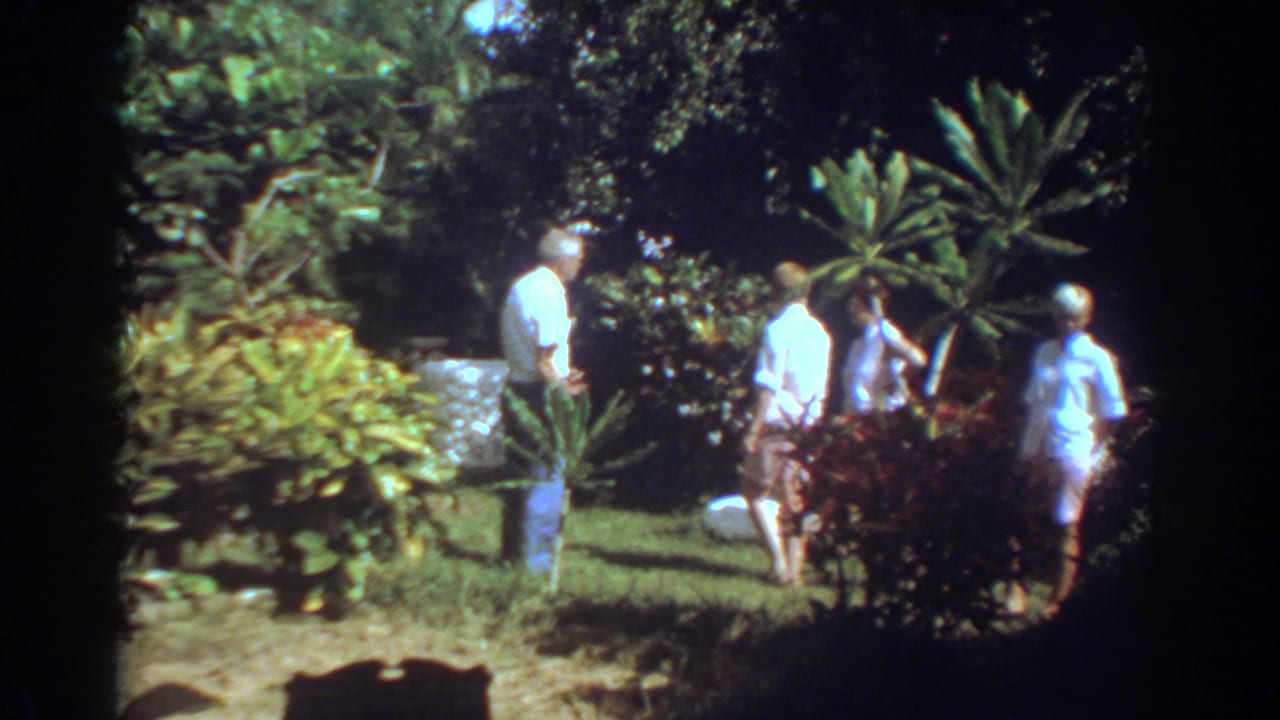 Adults stand and walk among tropical plants and red shrubs in bright garden sunlight.