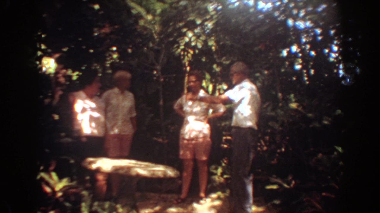 Four adults stand in a shaded garden near a pale stone table.