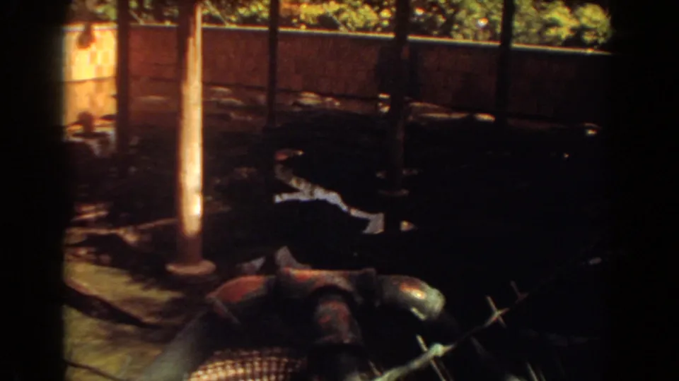 The final frame shifts to a darker view of a fenced water or enclosure area with a vertical post and surrounding vegetation.