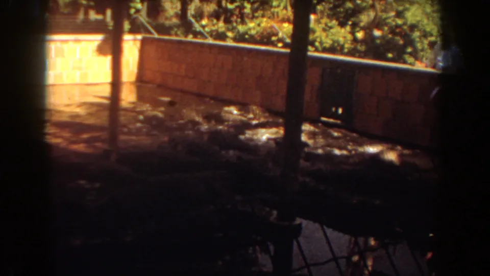 1967 Fort Lauderdale home-movie view of alligators in shadowed water beneath posts, with the enclosure wall lit by sun behind them.