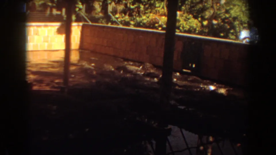 1967 Fort Lauderdale frame showing a dark foreground of alligators and water, with posts and a sunlit brick wall across the enclosure.
