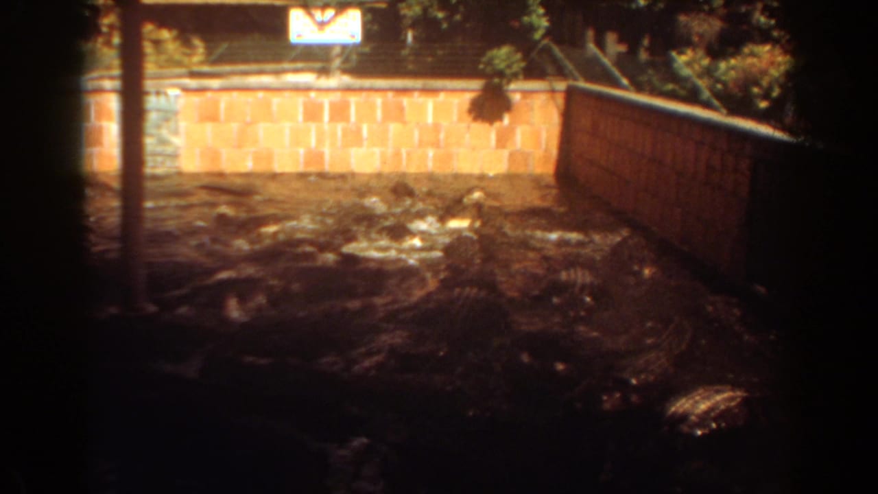 1967 Fort Lauderdale home-movie frame showing alligators partly submerged in a flooded brick enclosure.